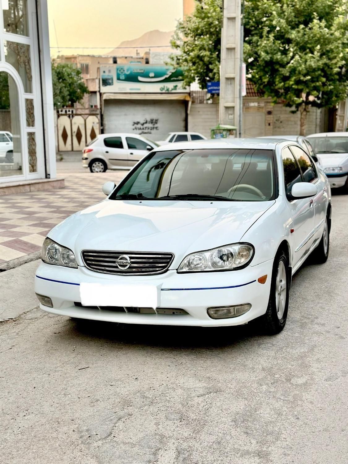 خودرو نیسان، سیلفی آگهی ann_19571839