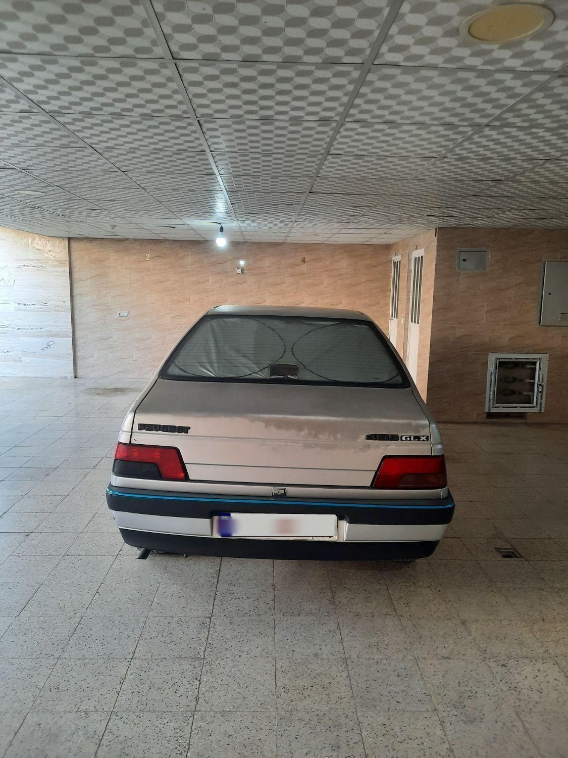 پژو 405 GL - دوگانه سوز CNG - 1373