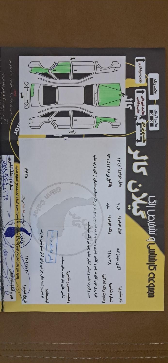 پژو 206 تیپ 2 - 1394