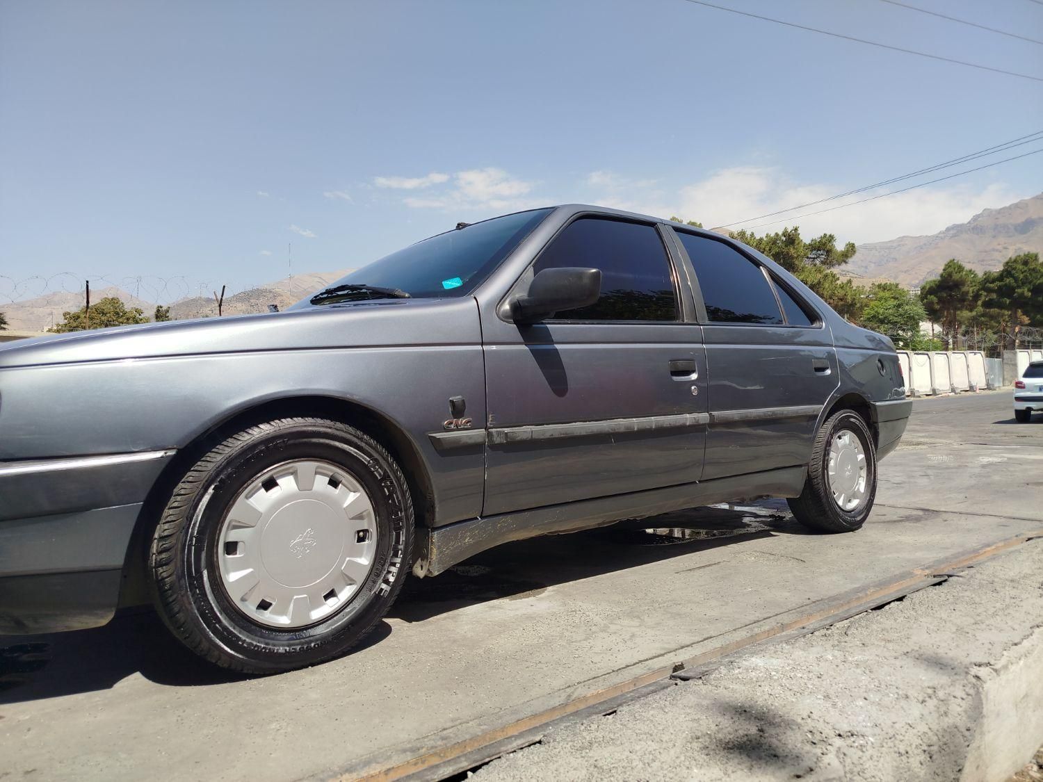 پژو 405 GLX - دوگانه سوز - 1395