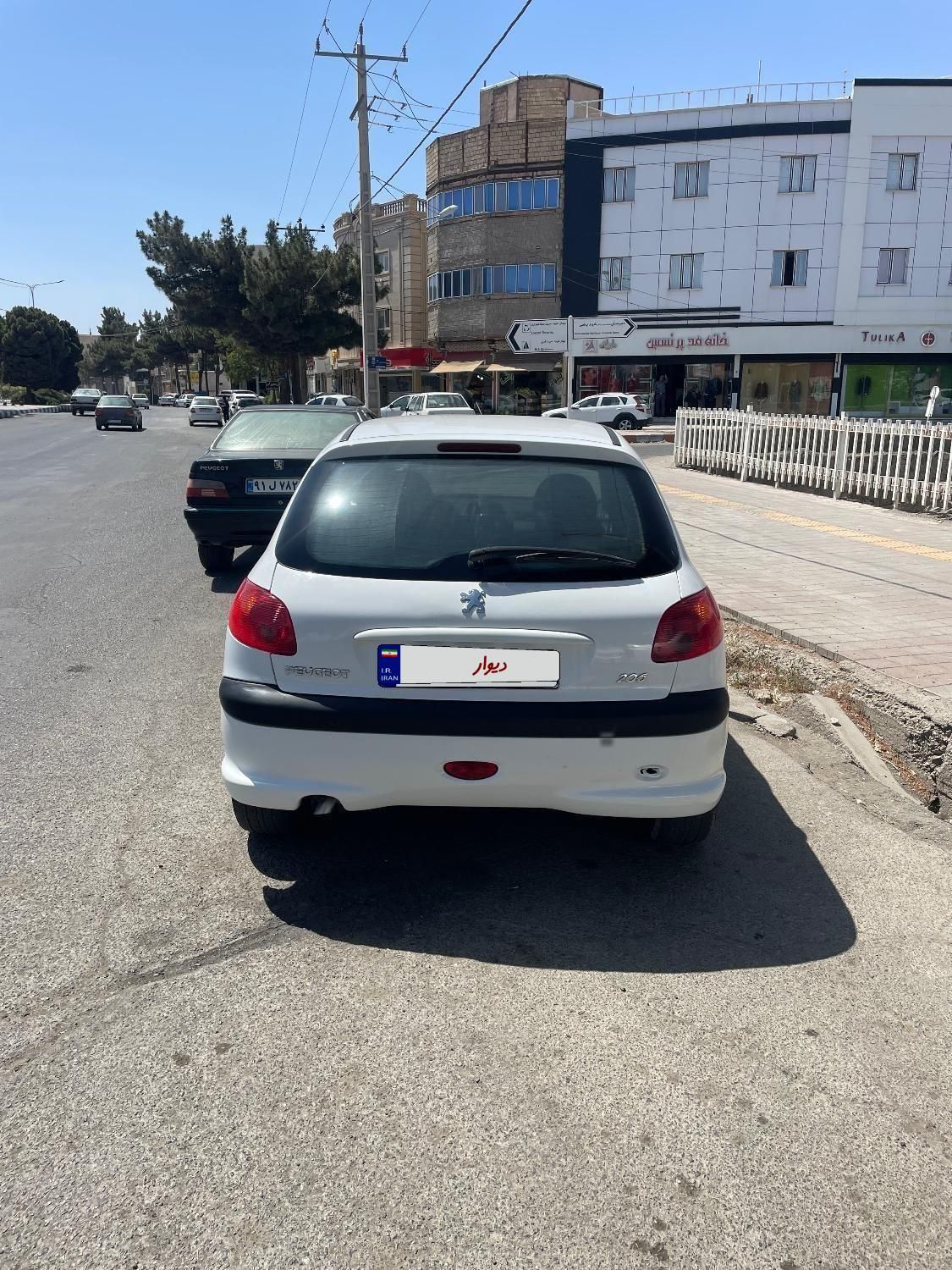 پژو 206 تیپ 2 - 1394