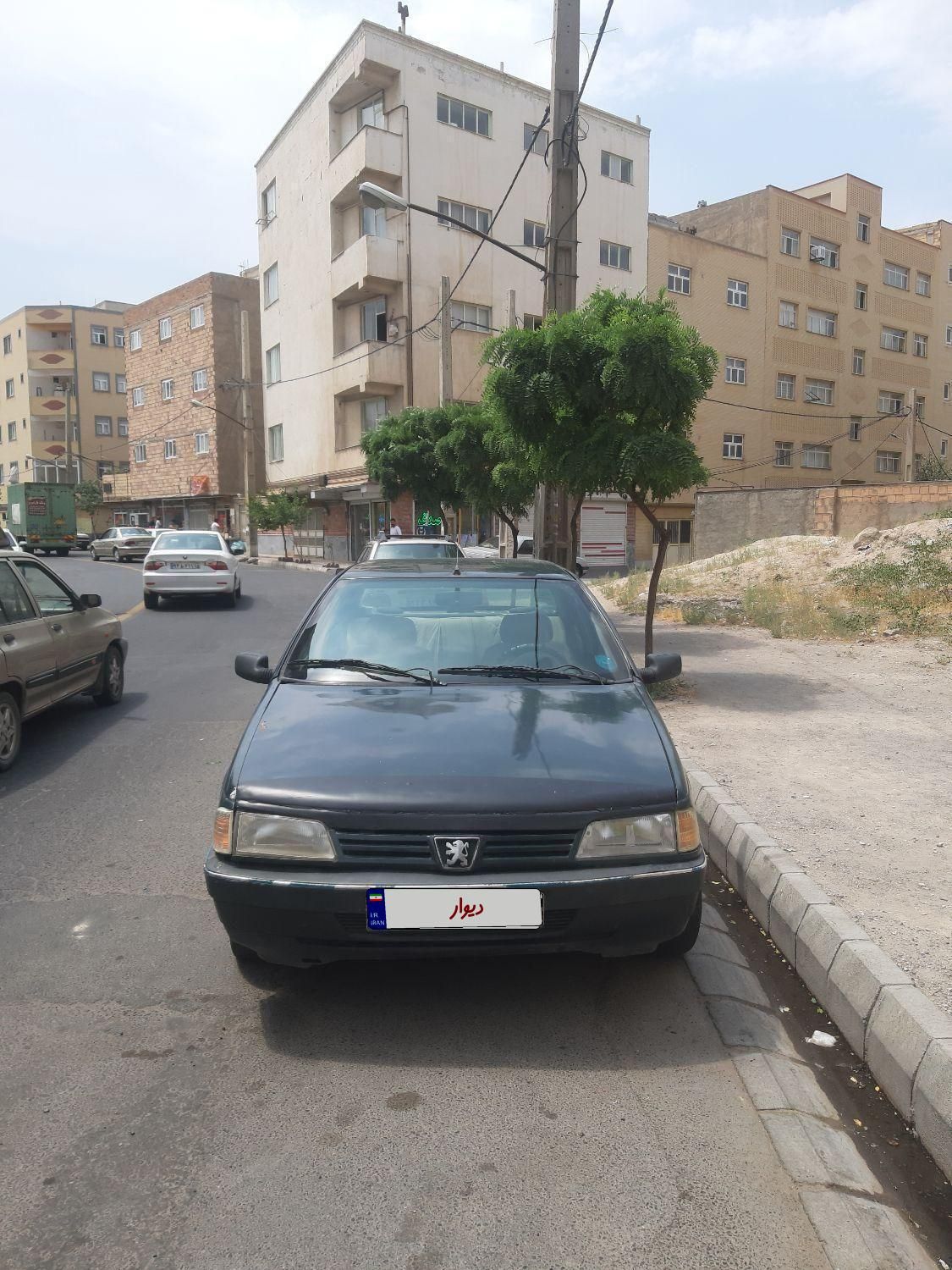 پژو آردی دوگانه سوز CNG - 1382