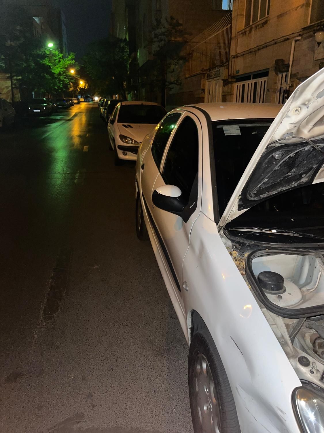پژو ۲۰۶ صندوق دار v8 - 1393