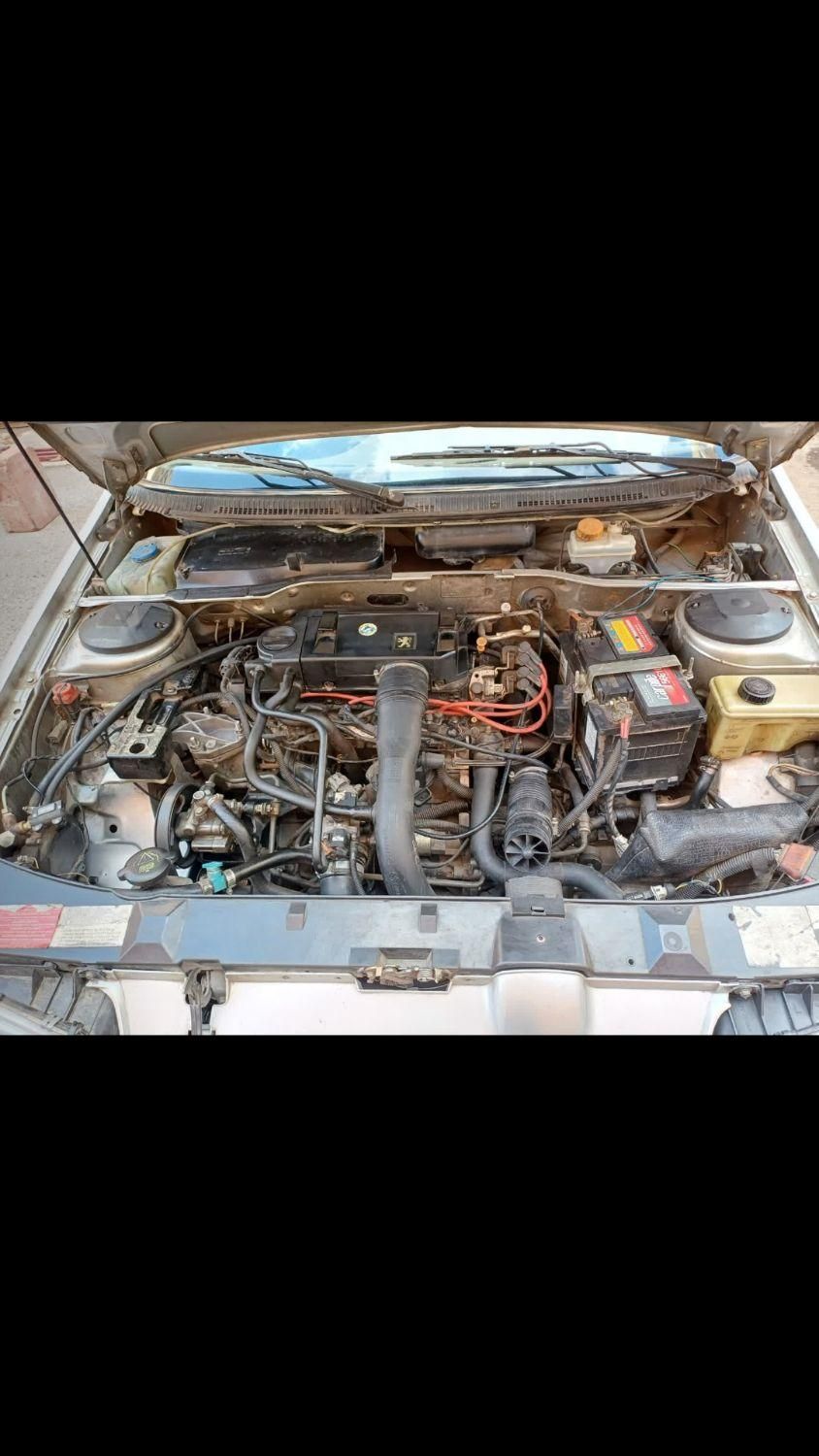 پژو 405 GLX - دوگانه سوز - 1393