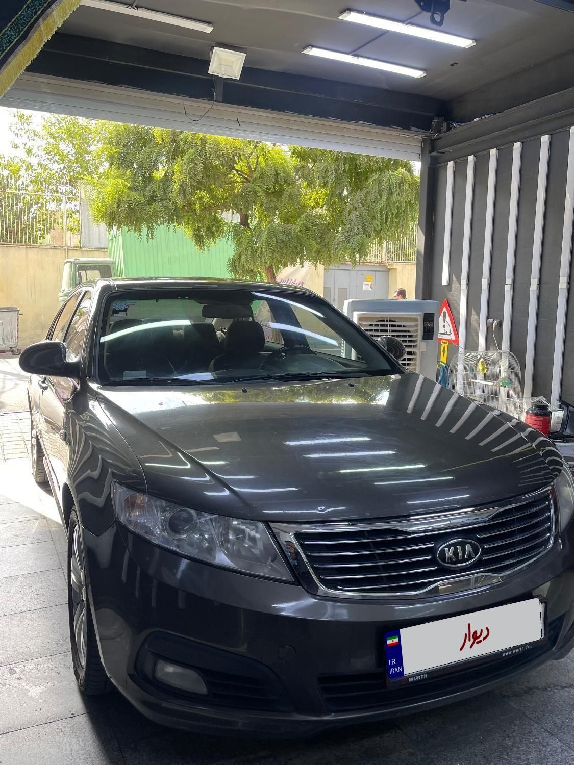 کیا اپتیما فول EX - 2010