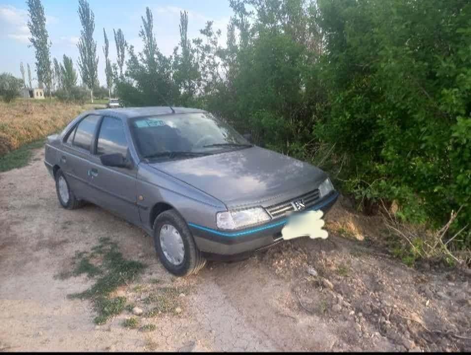 خودرو پژو، 405 آگهی ann_19583489