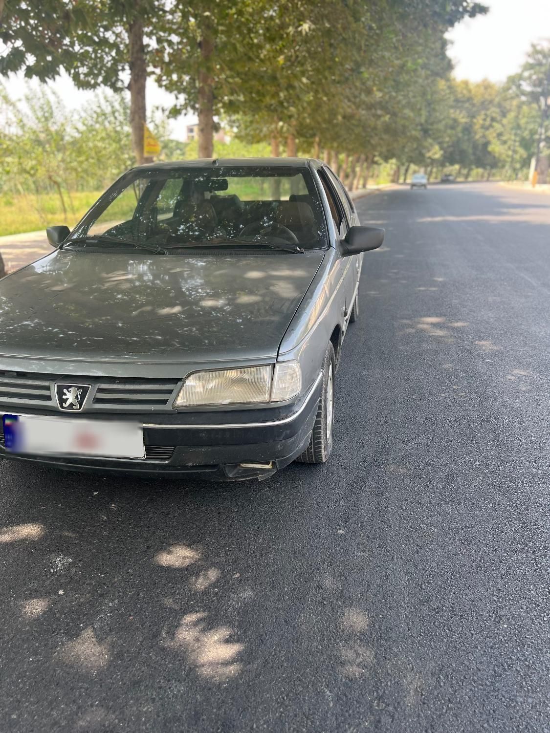 پژو 405 GLX - دوگانه سوز - 1390
