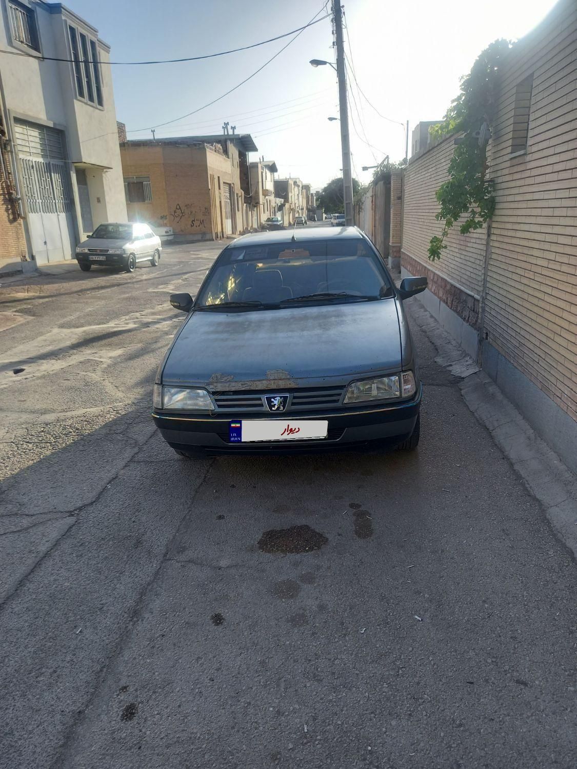 پژو 405 GLX - دوگانه سوز - 1391