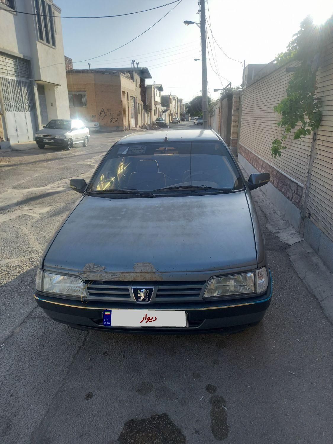 پژو 405 GLX - دوگانه سوز - 1391