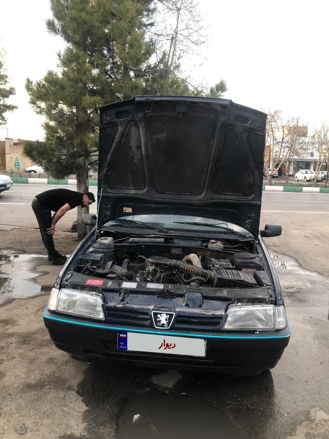 پژو 405 GL - 1372