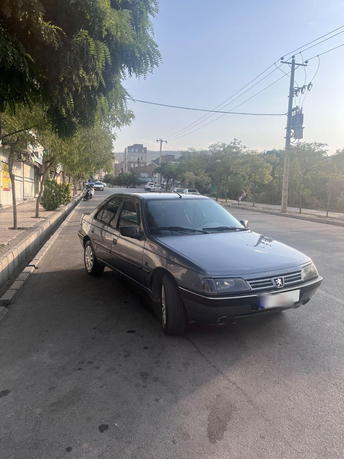 خودرو پژو، 405 آگهی ann_19589279