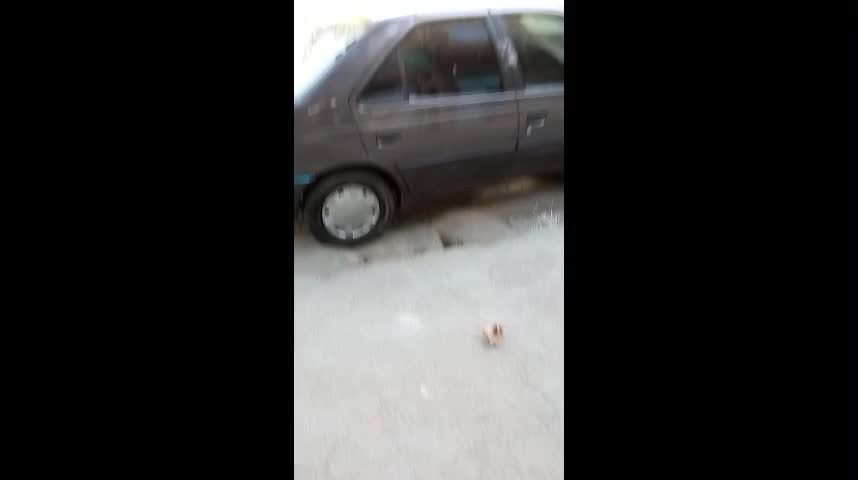 خودرو پژو، روآ آگهی ann_19589967
