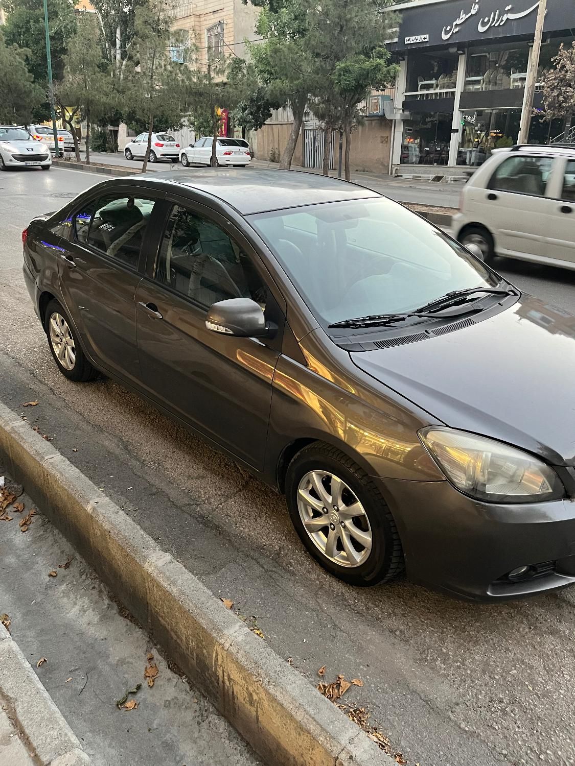 گریت وال ولکس C30 دنده‌ ای - 1391