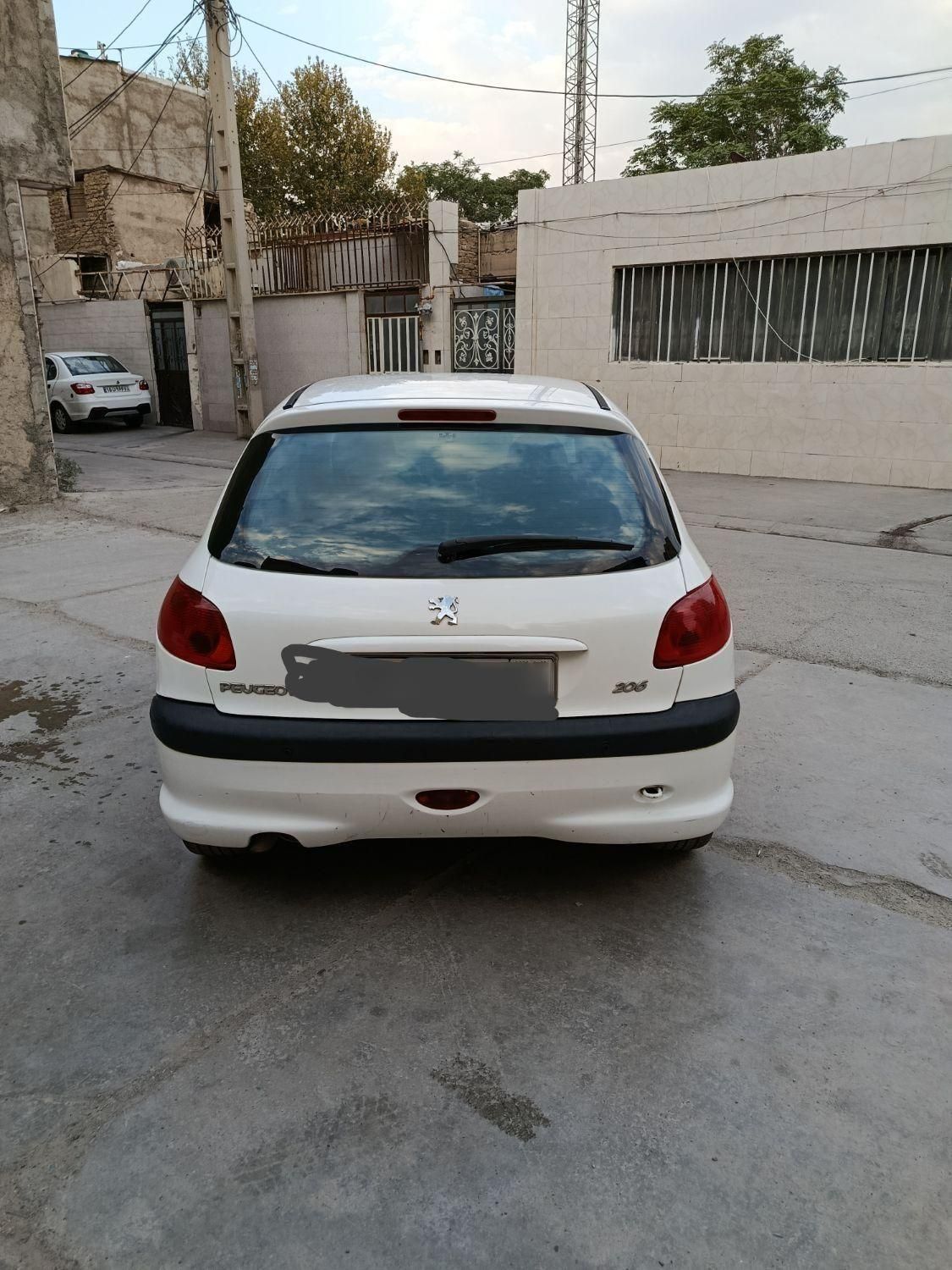 پژو 206 تیپ 5 - 1393
