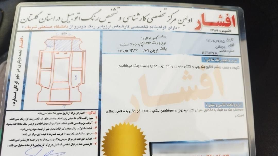 پژو 206 تیپ 2 - 1395