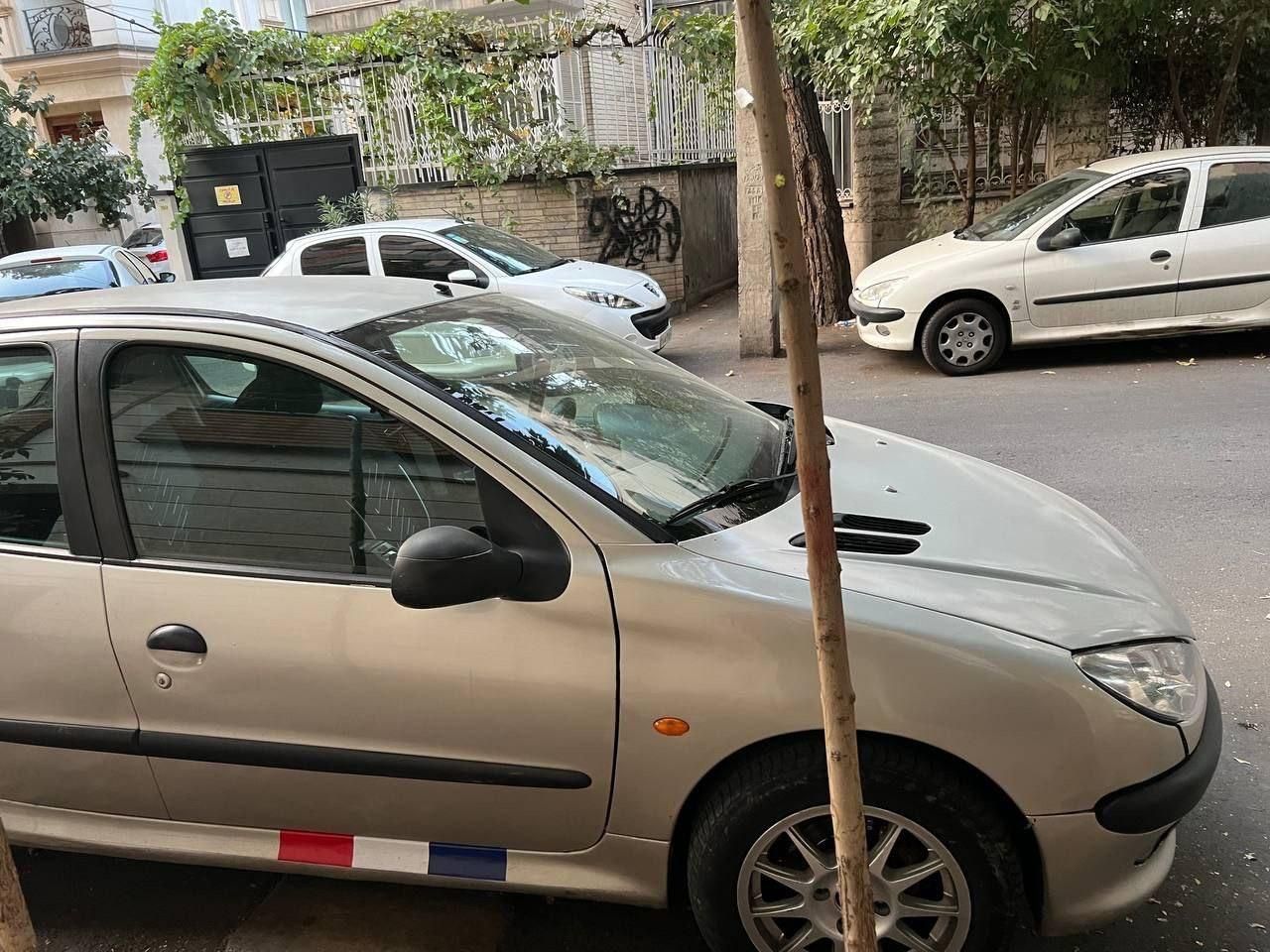 پژو 206 تیپ 2 - 1381