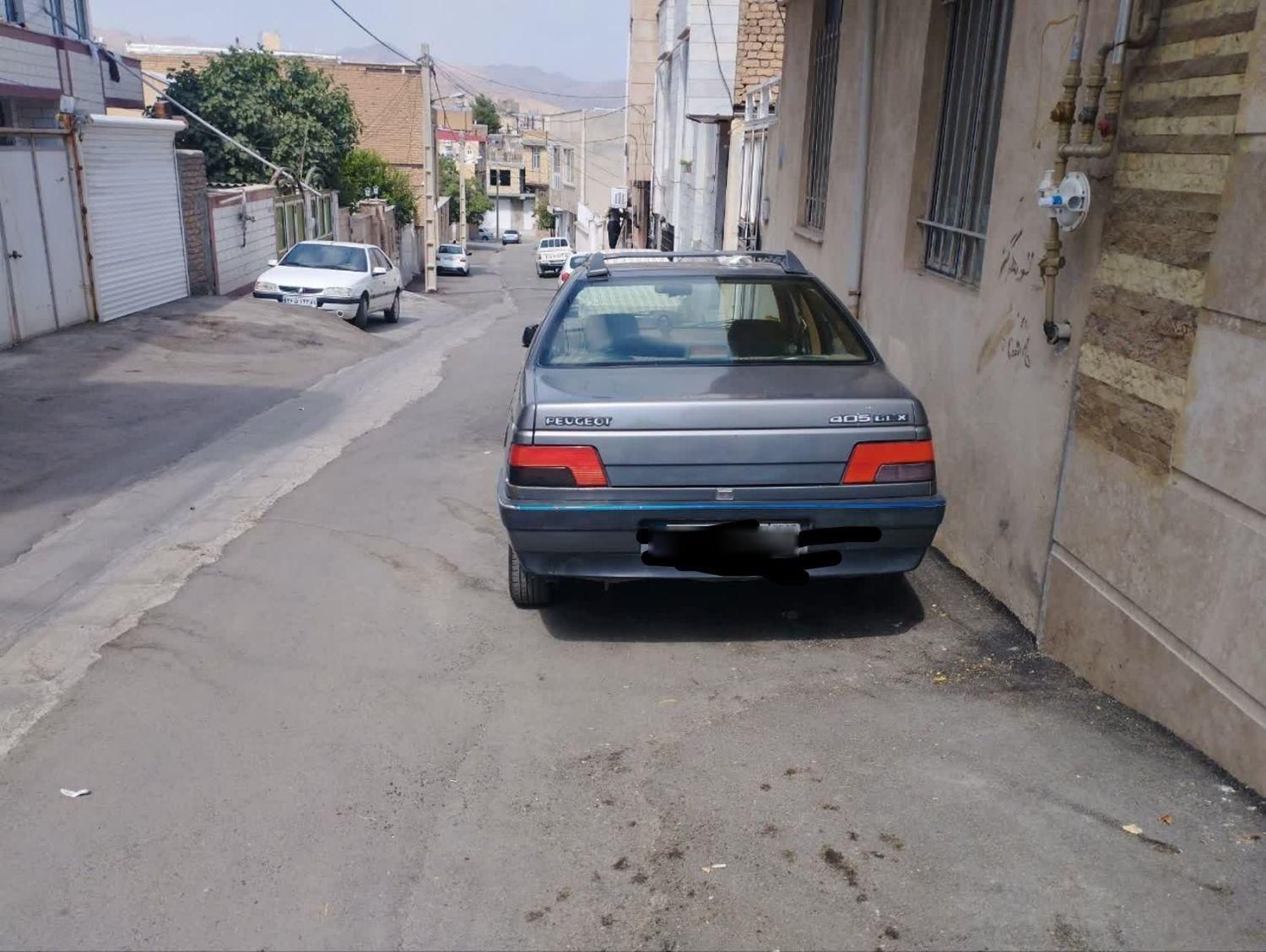 پژو 405 GLX - دوگانه سوز - 1391