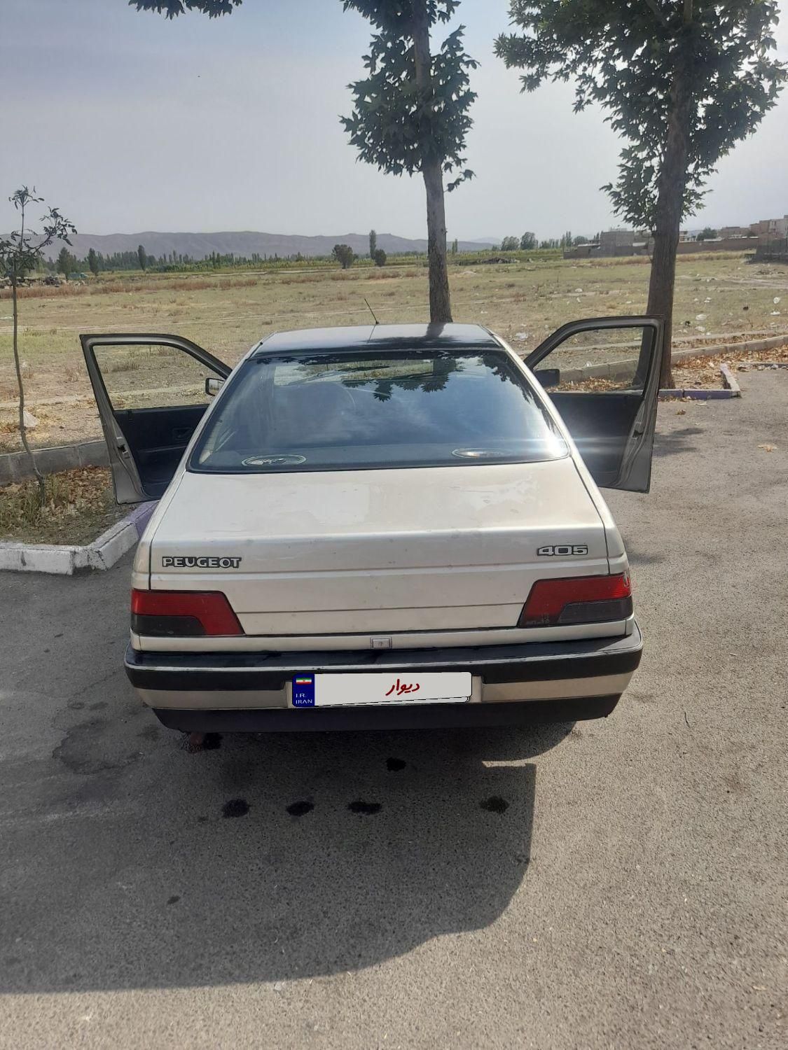 پژو 405 GLX - دوگانه سوز - 1384