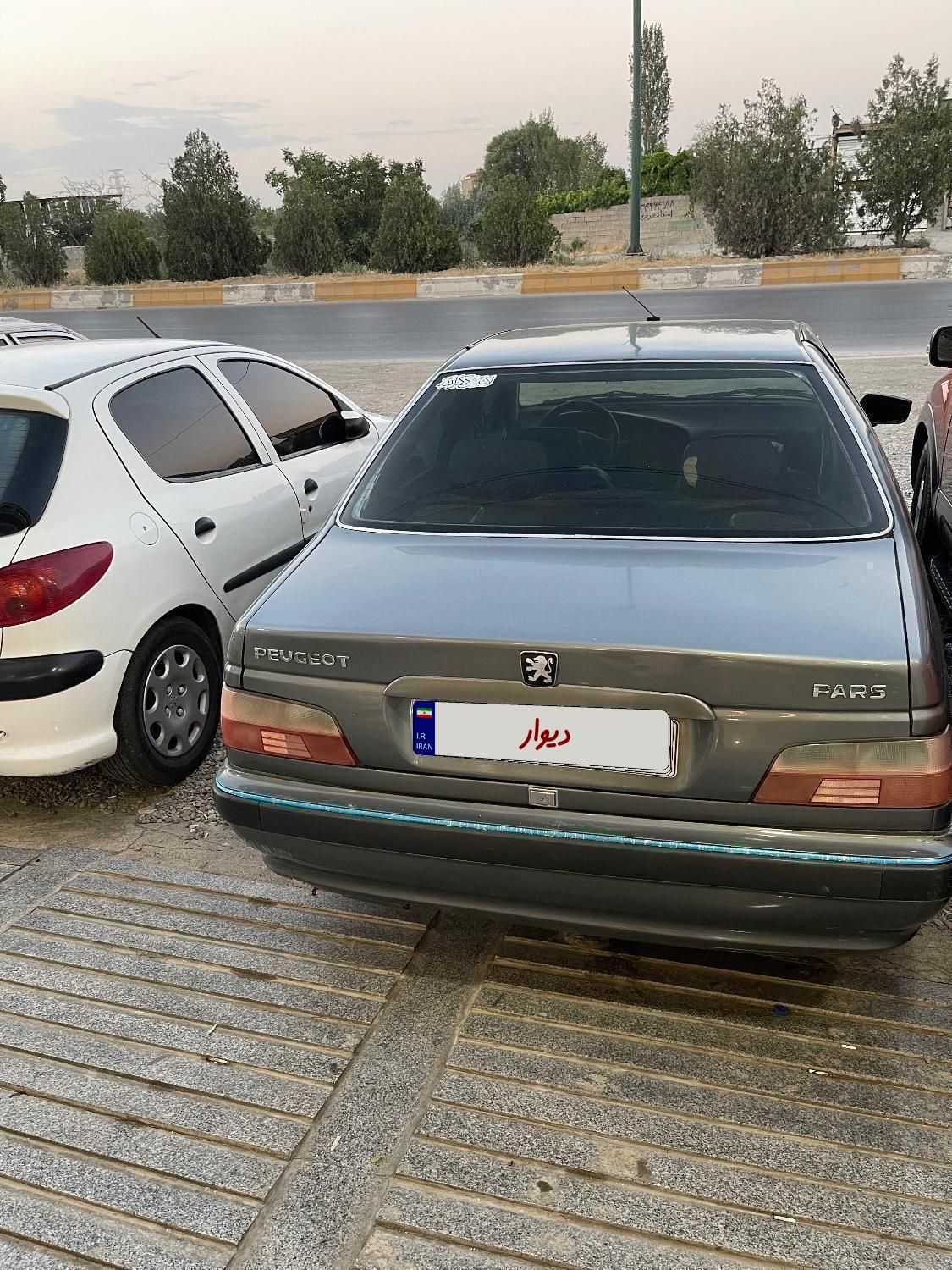 پژو پارس دوگانه سوز - 1389