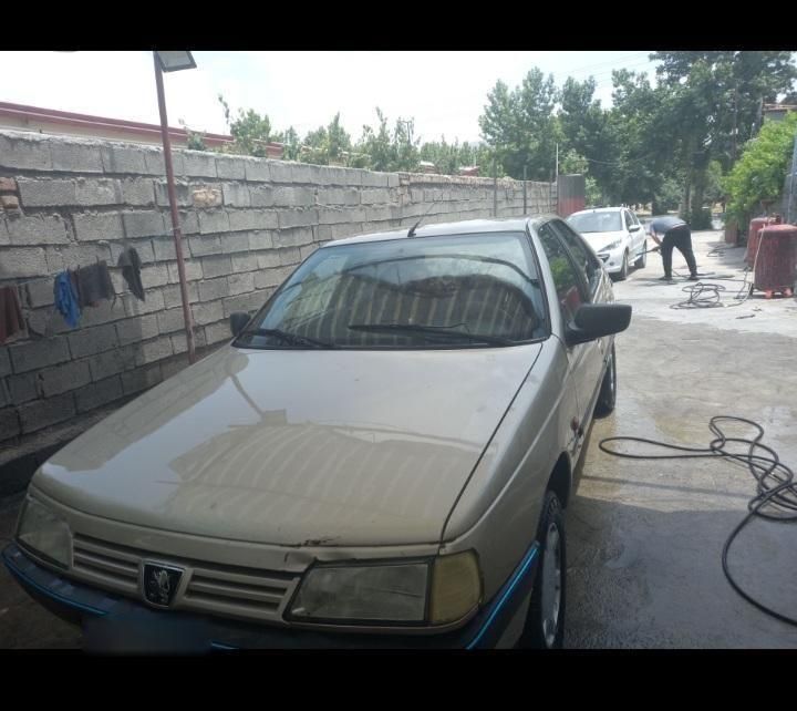 خودرو پژو، 405 آگهی ann_19596462