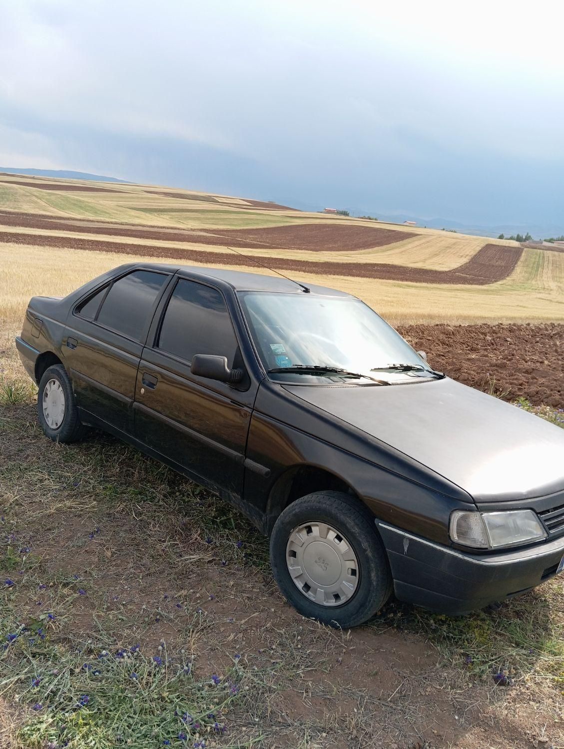 پژو 405 GLX - 1383