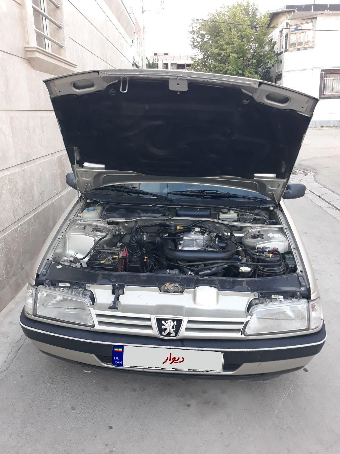 پژو روآ G2 دوگانه سوز - 1390