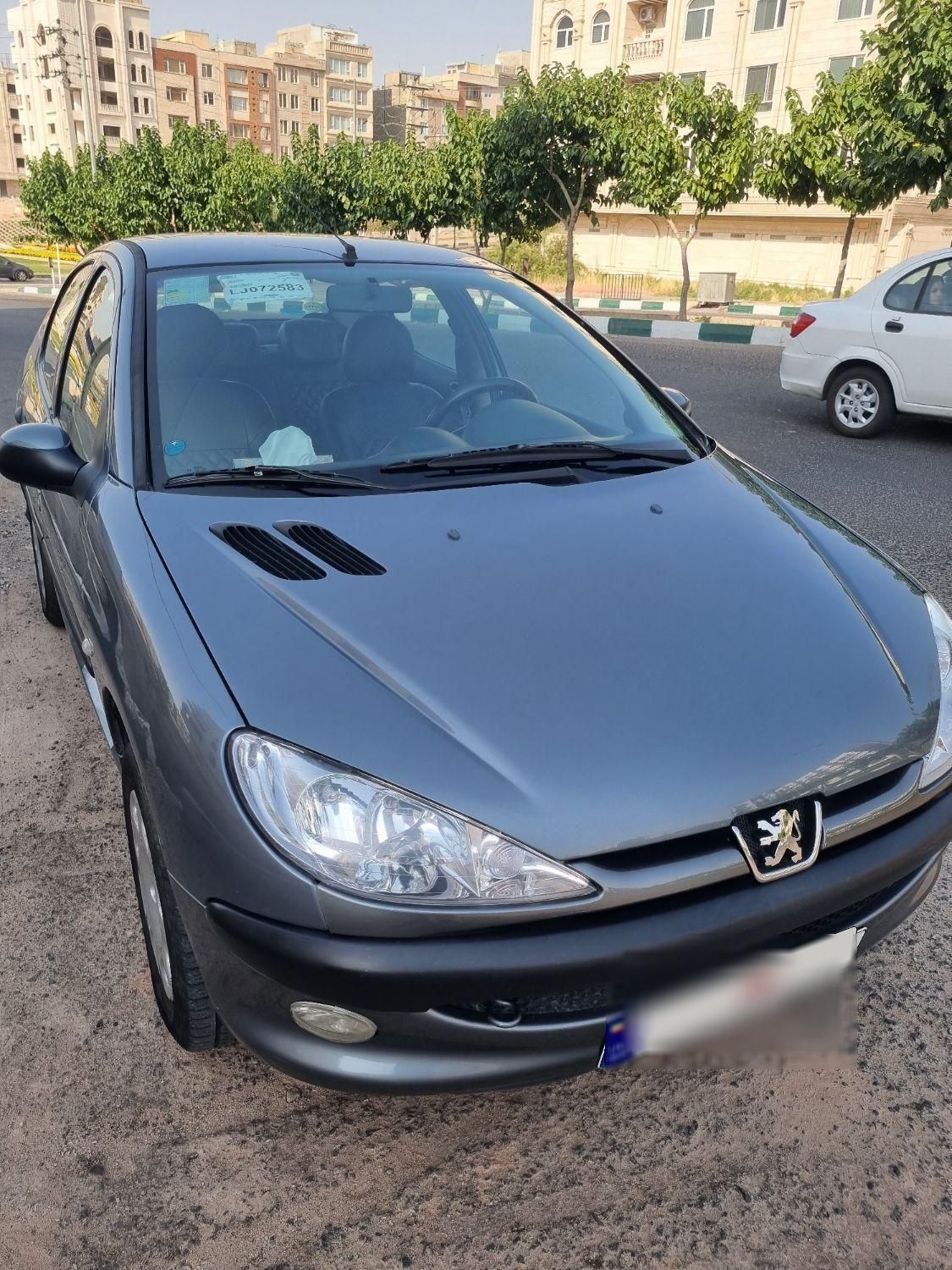 پژو ۲۰۶ صندوق دار v8 - 1399
