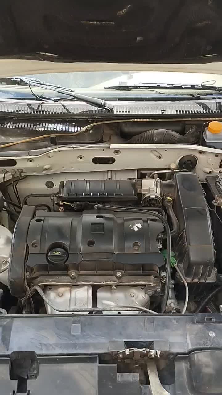 پژو 405 SLX بنزینی TU5 - 1391