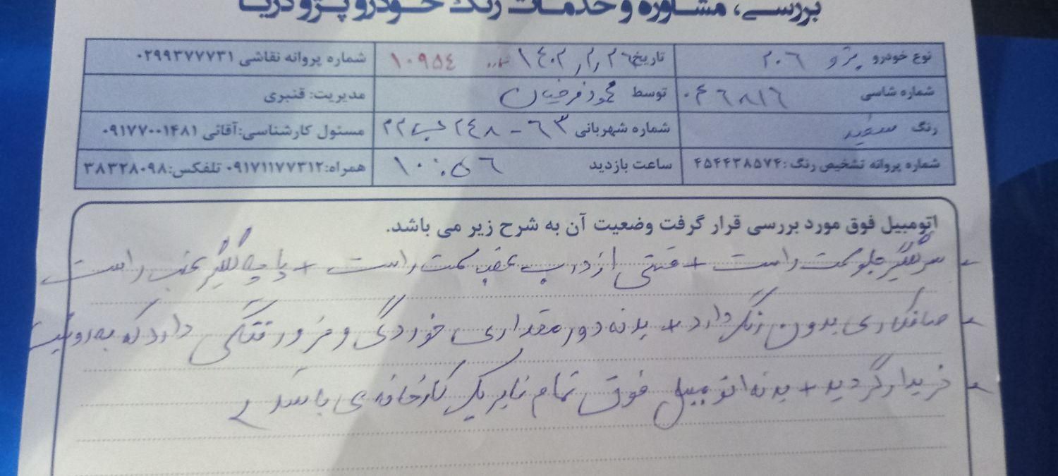 پژو 206 تیپ 5 - 1399