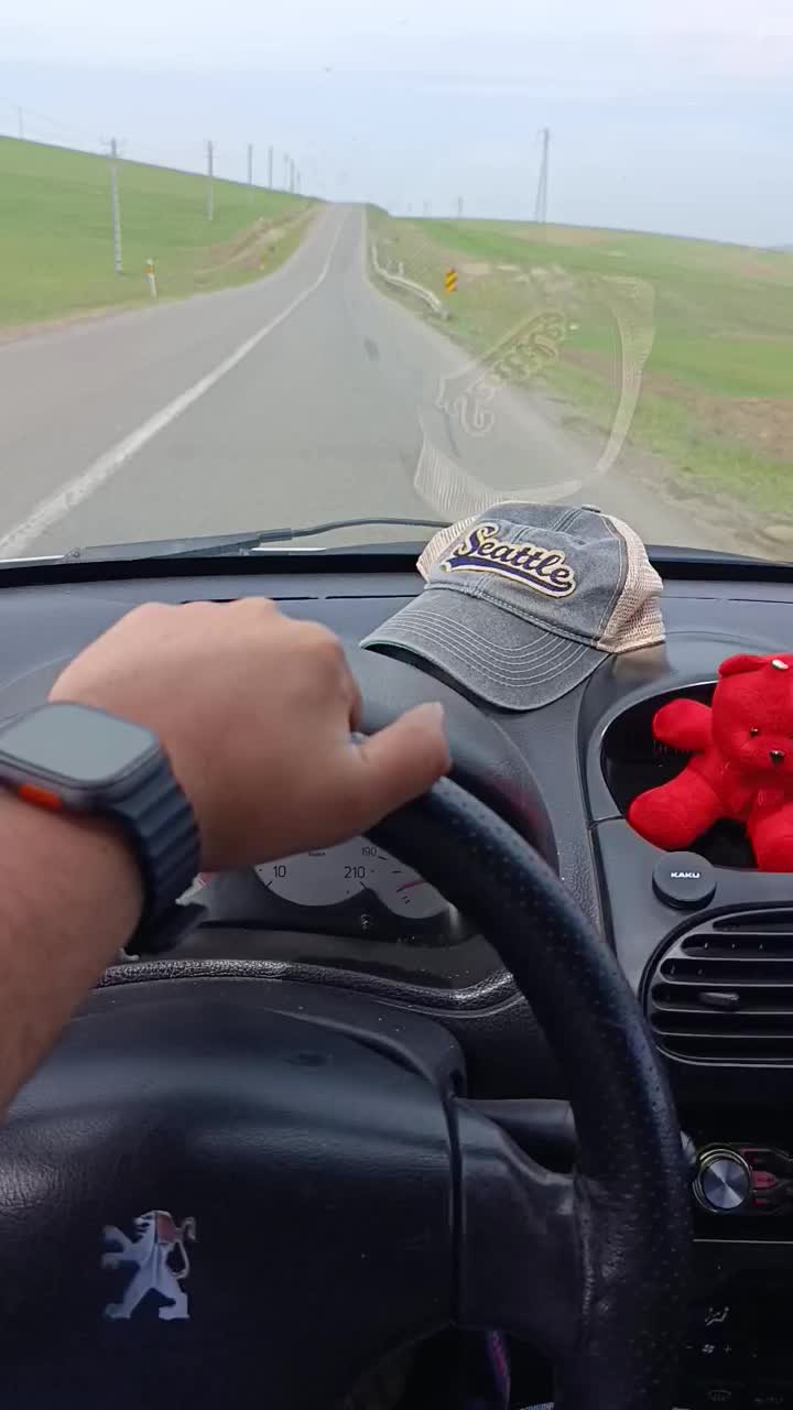پژو ۲۰۶ صندوق دار v8 - 1392