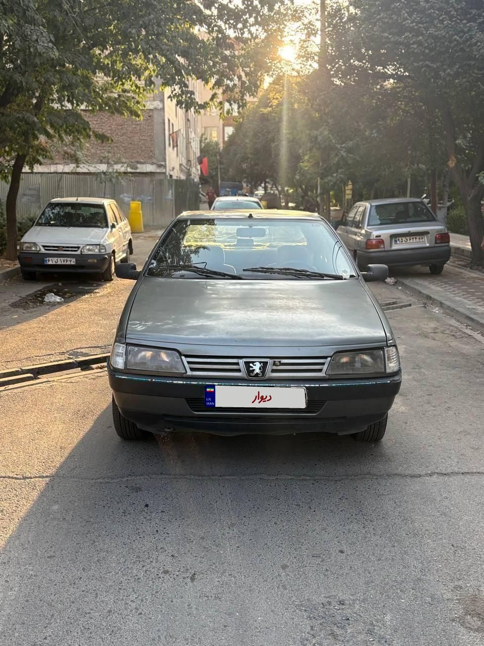 پژو 405 GLX - دوگانه سوز - 1386