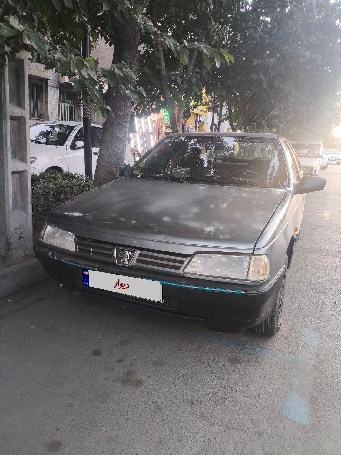 پژو 405 GLX - دوگانه سوز - 1391
