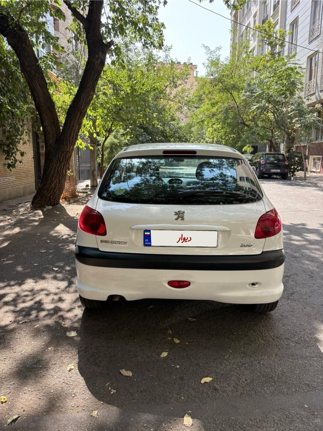 پژو 206 تیپ 2 - 1399