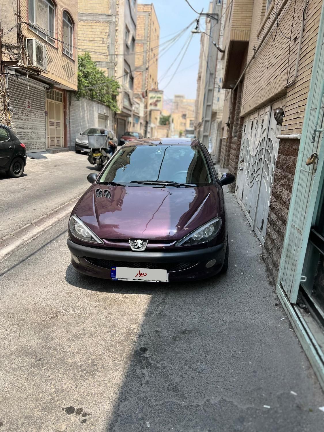 پژو 206 تیپ 5 - 1394