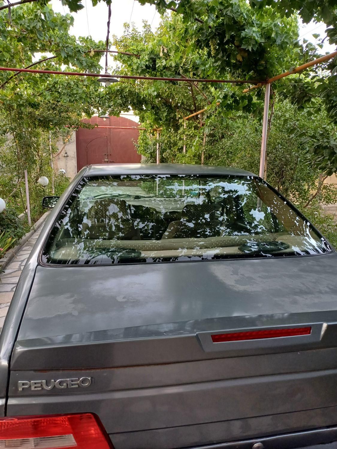 پژو 405 SLX بنزینی TU5 - 1391