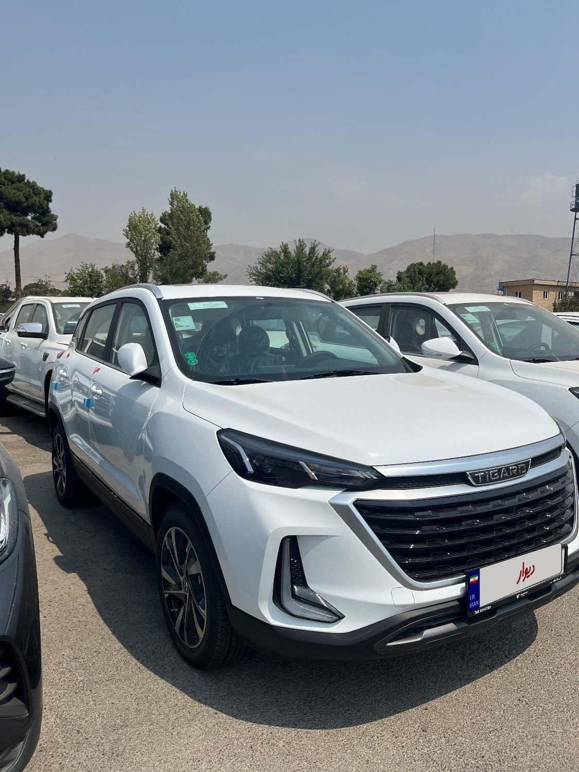 تیگارد X35 ساده - 1404