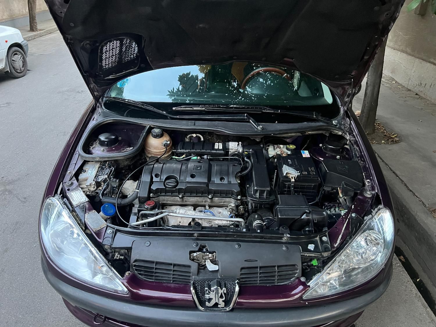پژو ۲۰۶ صندوق دار v8 - 1391