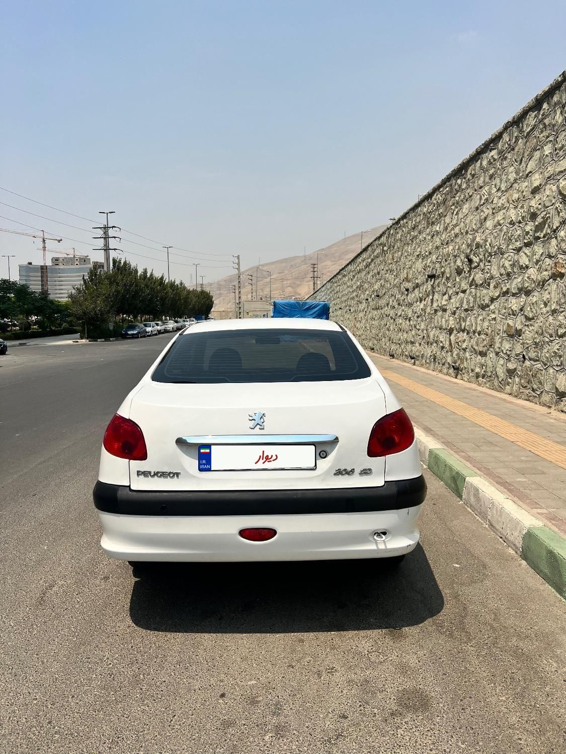 پژو 206 تیپ 5 - 1393