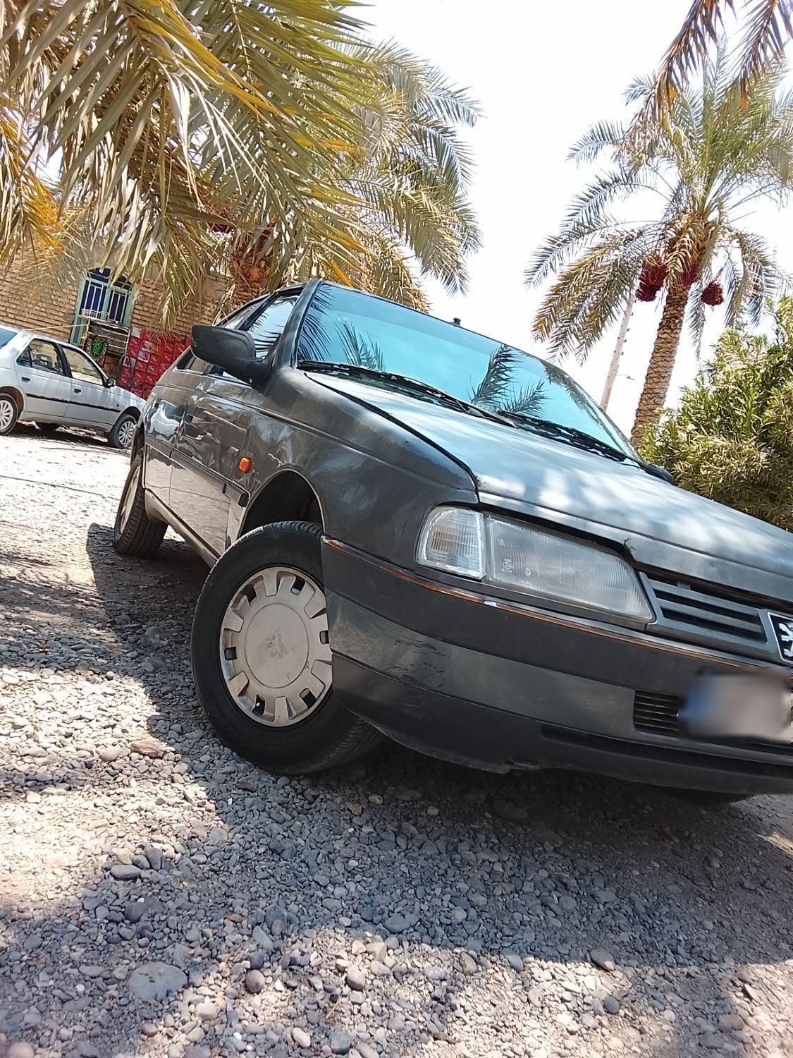 پژو 405 GLX - دوگانه سوز - 1390