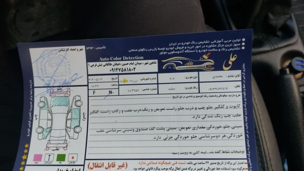 پژو 206 تیپ 5 - 1395