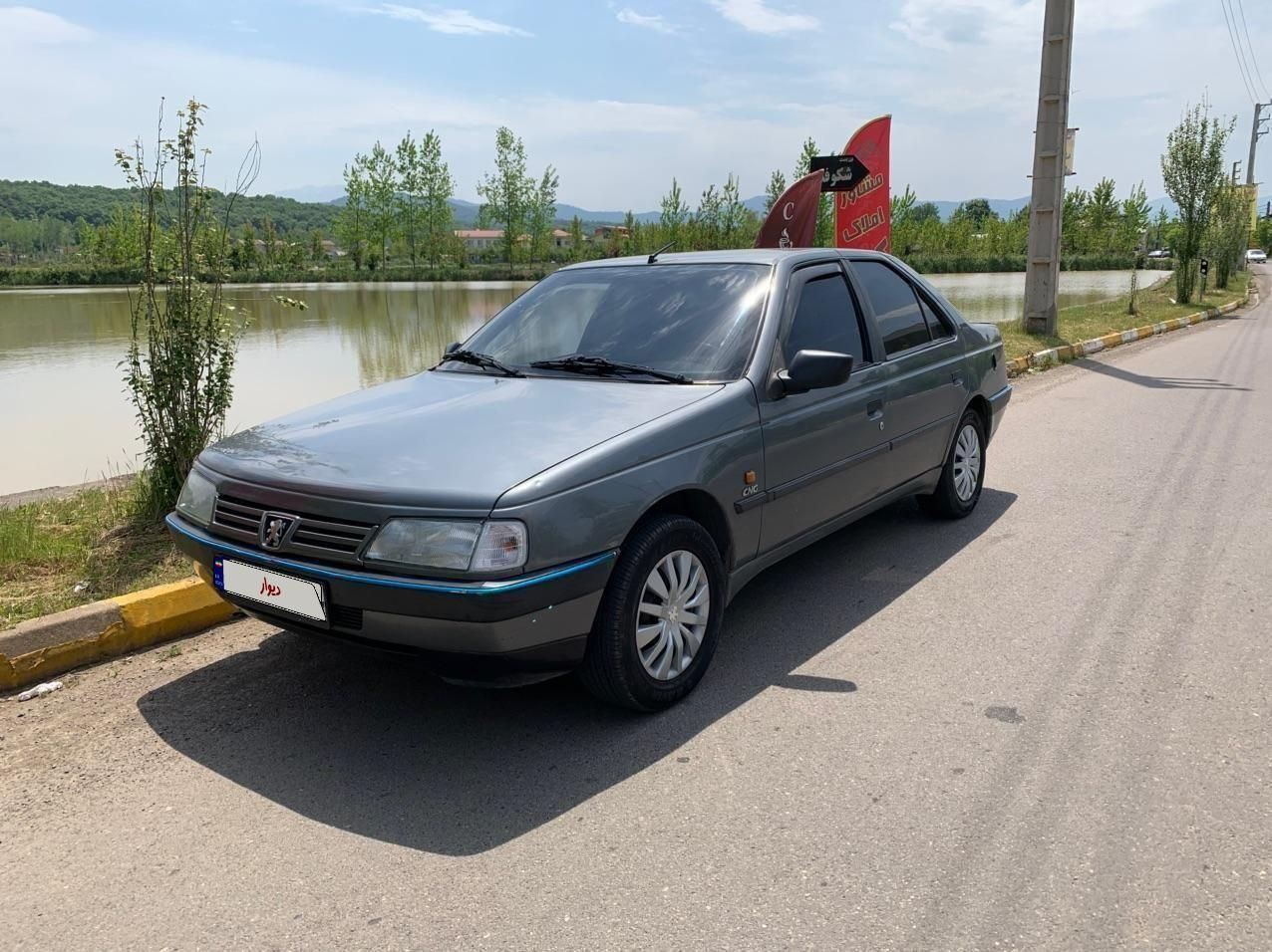 پژو 405 GLX - دوگانه سوز - 1390