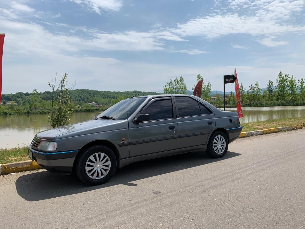 پژو 405 GLX - دوگانه سوز - 1390