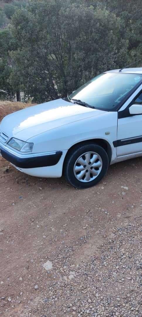 سیتروئن زانتیا X - 1387