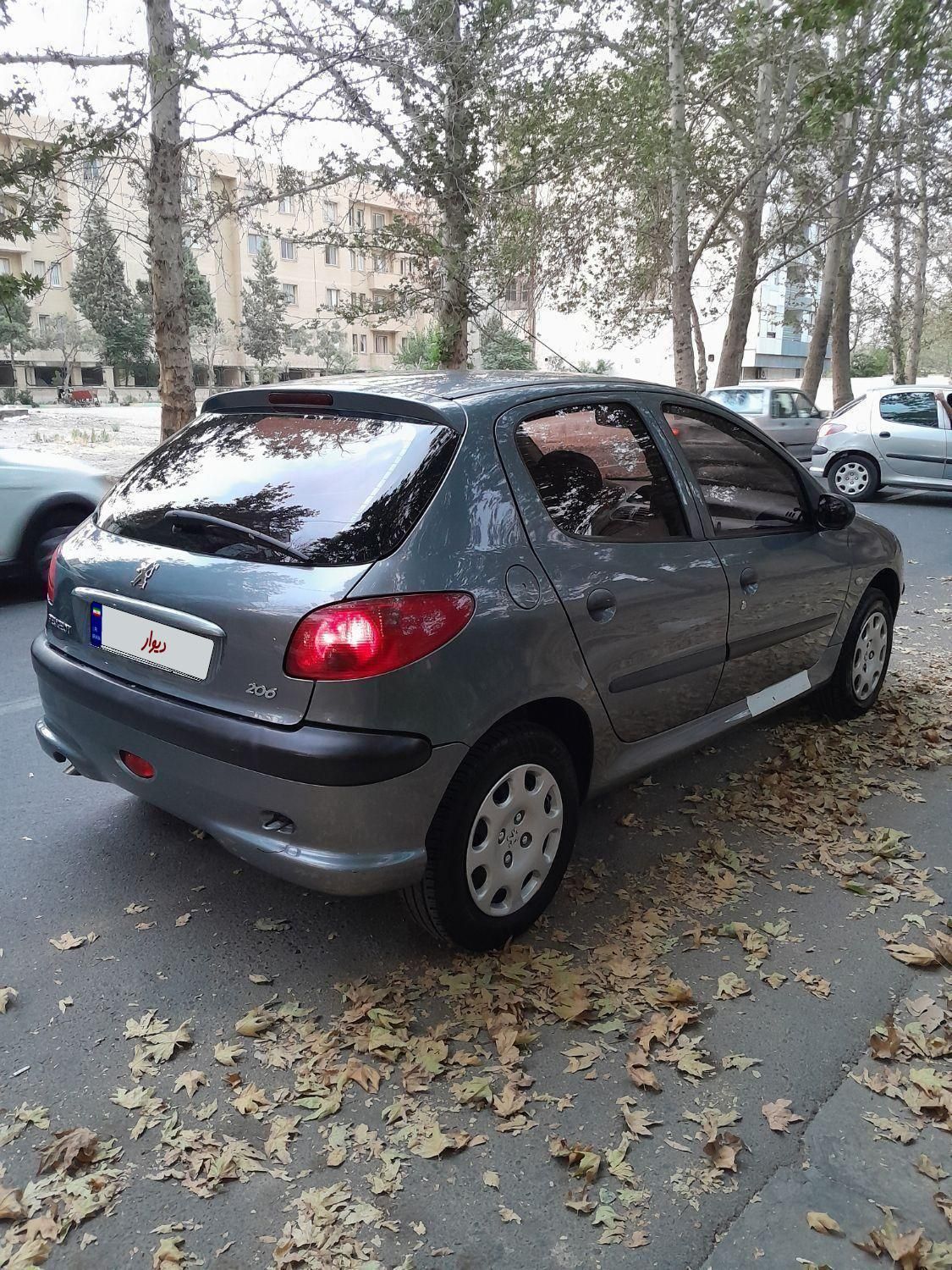 پژو 206 تیپ 2 - 1399
