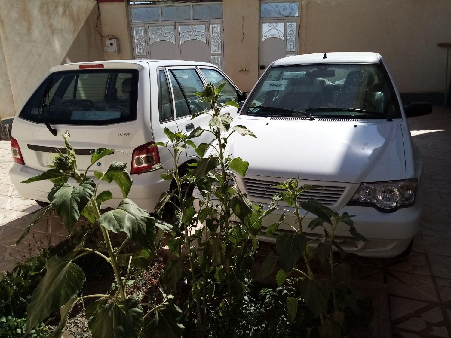 خودرو پراید، 131 آگهی ann_19704320