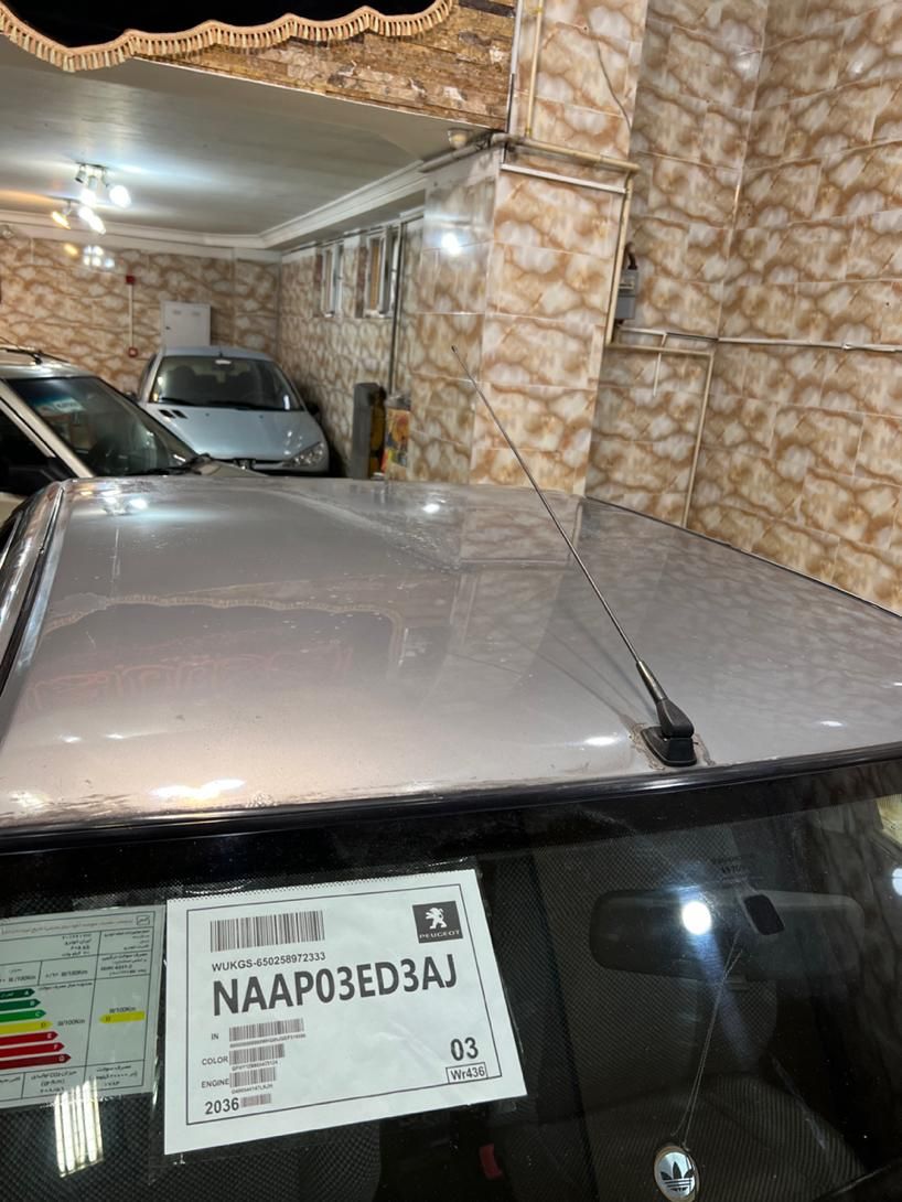 پژو 405 GLX - دوگانه سوز - 1386