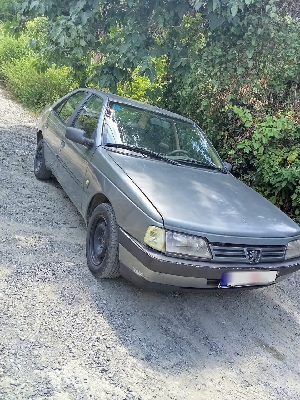 پژو 405 GLX - 1391