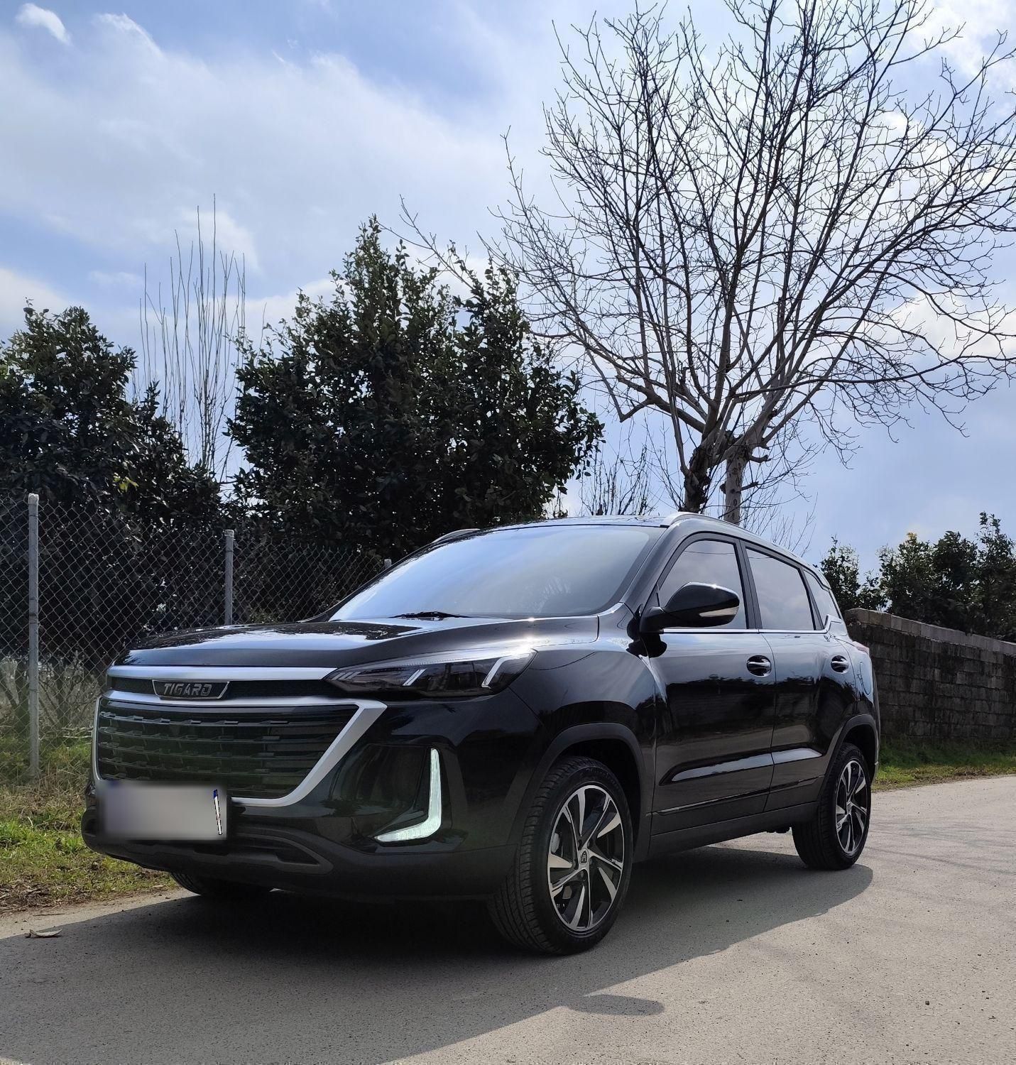 تیگارد X35 ساده - 1403