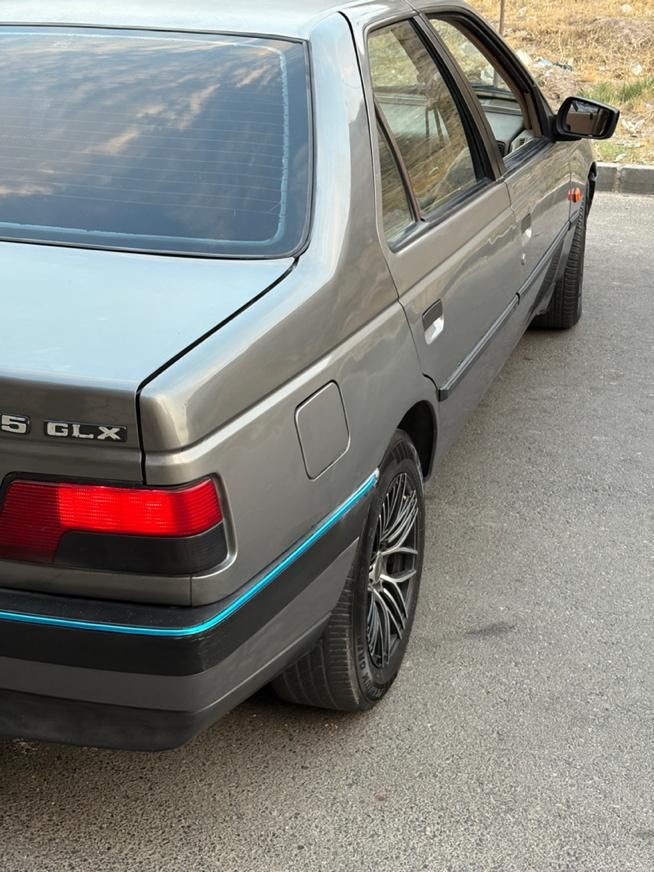 پژو 405 GLX - دوگانه سوز - 1389
