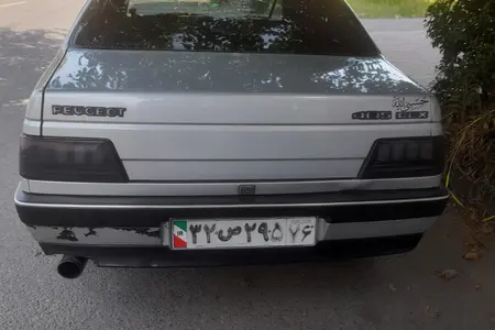 پژو 405 GLX - دوگانه سوز - 1388